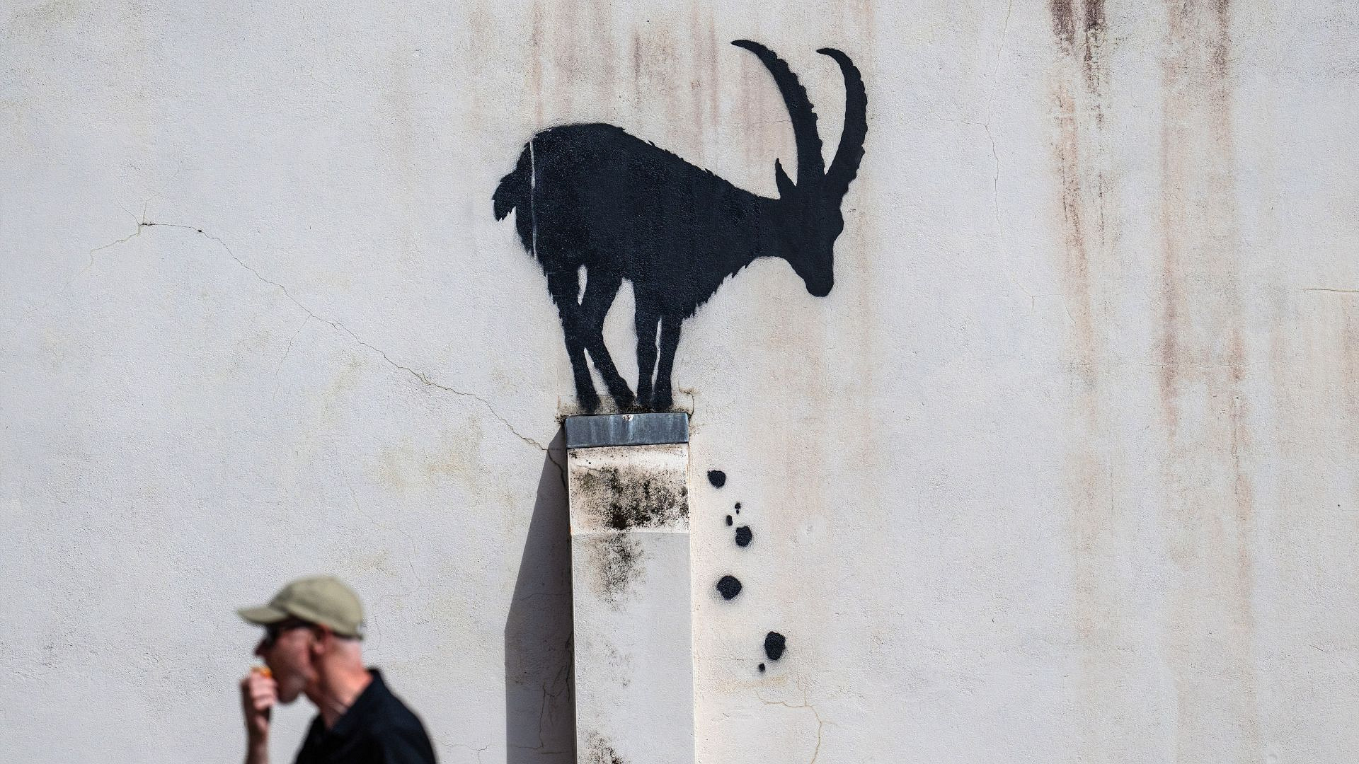 Tajemnicze murale Banksy’ego w Londynie. Co kryje się za „londyńskim zoo”?