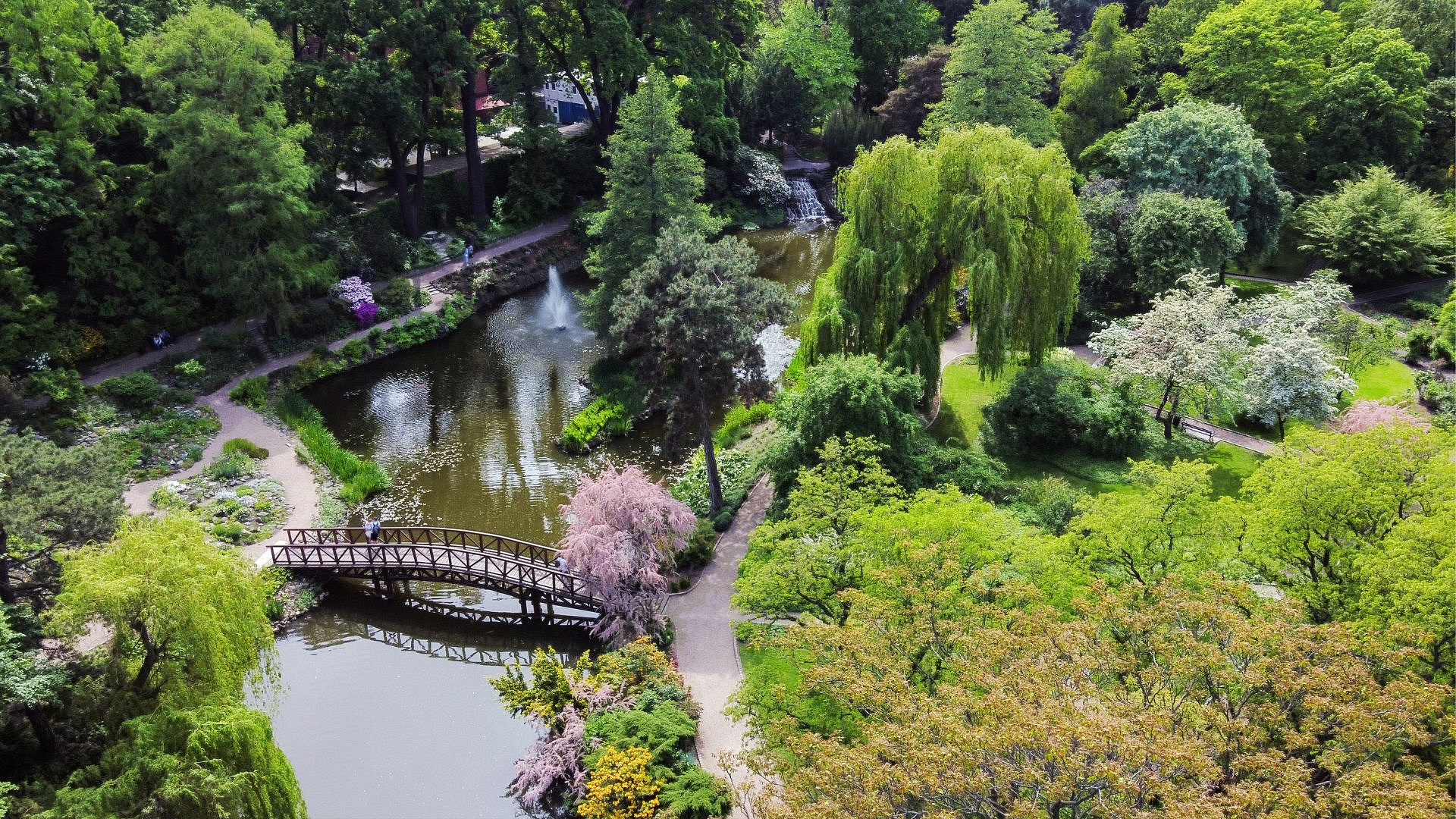 5 najpiękniejszych polskich ogrodów botanicznych. Tu odpoczniesz od miejskiego zgiełku 