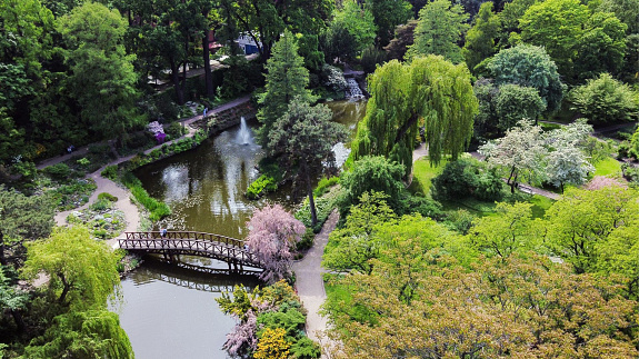 5 najpiękniejszych polskich ogrodów botanicznych. Tu odpoczniesz od miejskiego zgiełku 