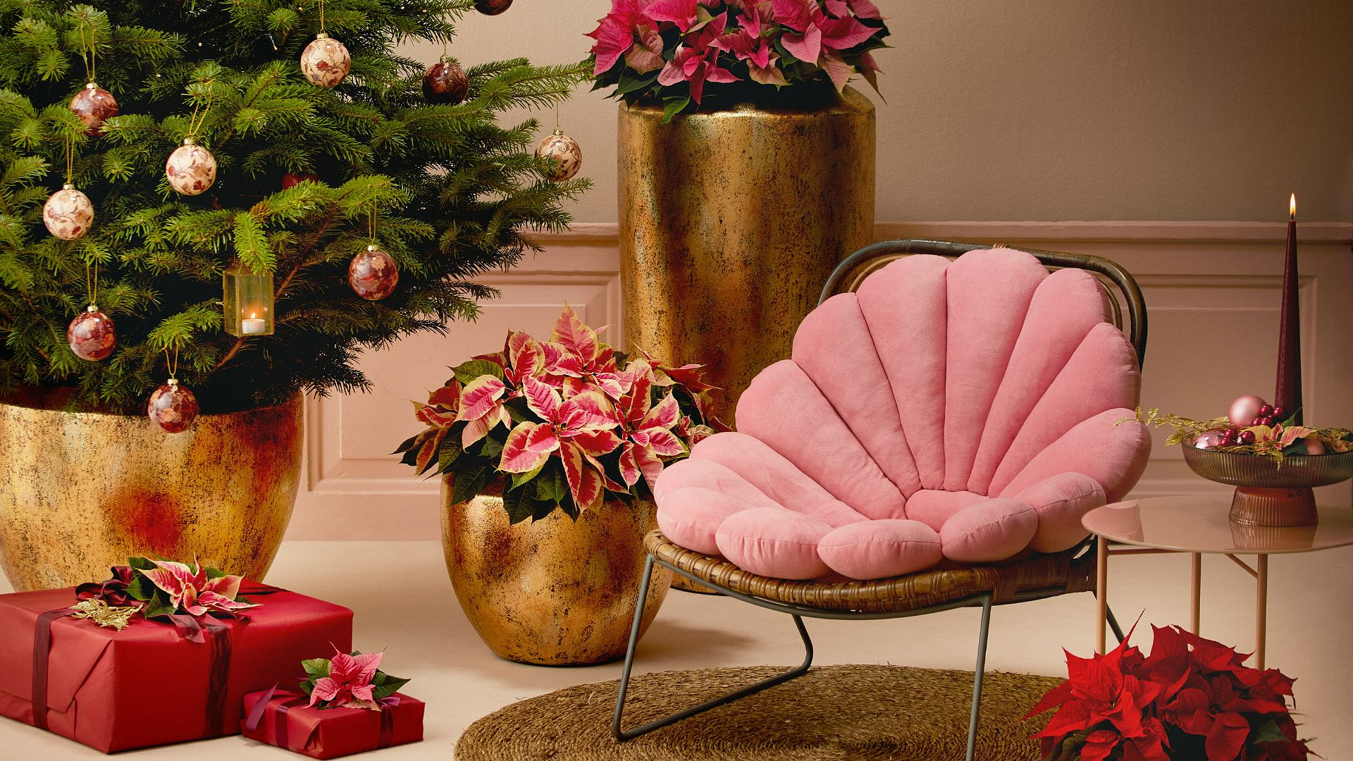 Jak przystroić dom na Boże Narodzenie? Oto 5 roślin, które kwitną zimą