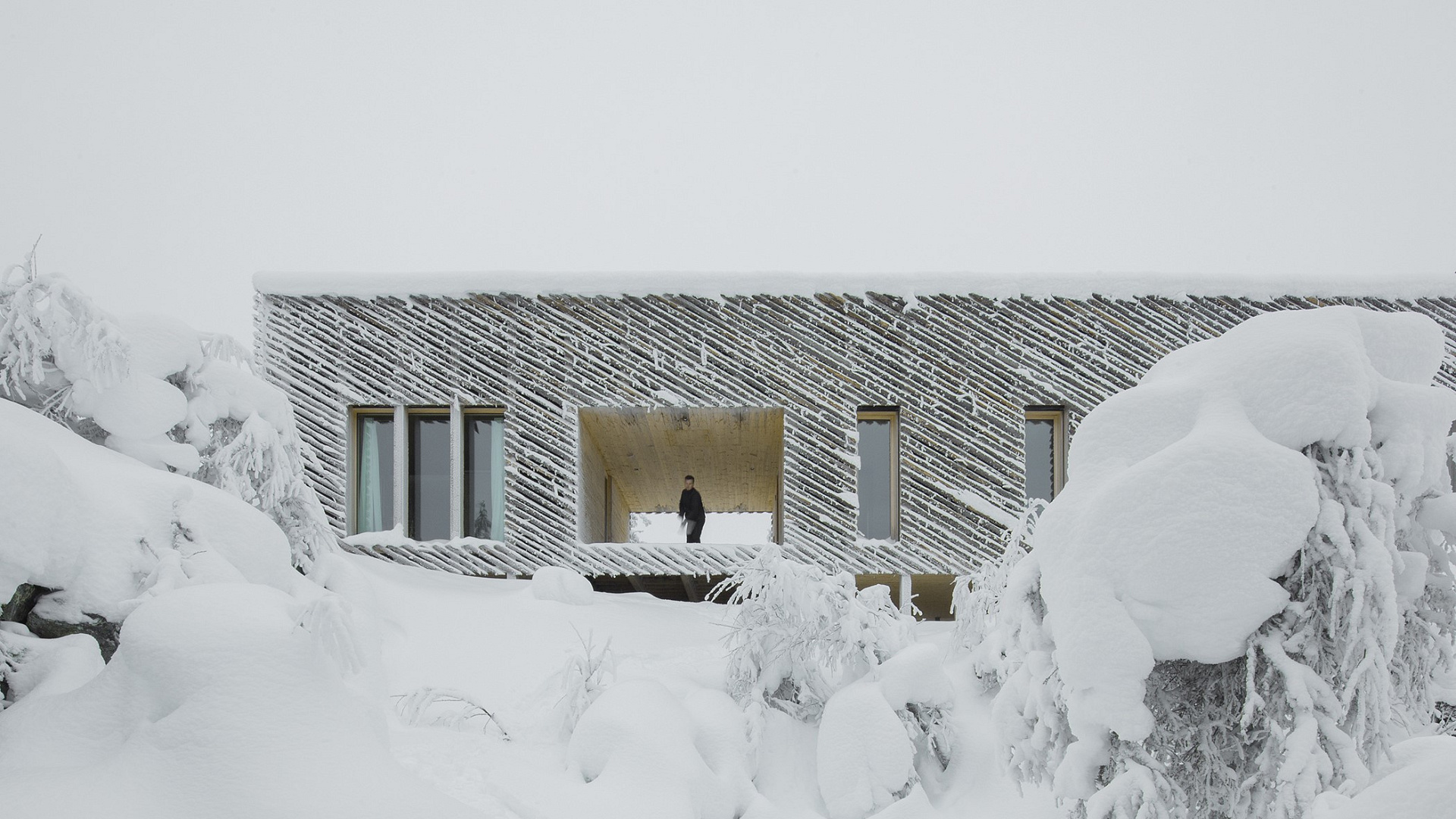Akwarium pachnące lasem: górskie schronienie pary architektów