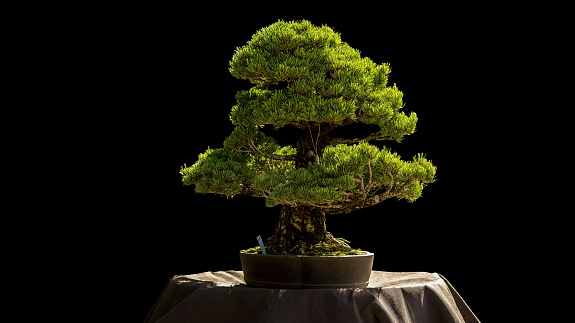 Czy aukcja na rzecz Muzeum Warszawy jest tylko dla warszawiaków? Niekoniecznie