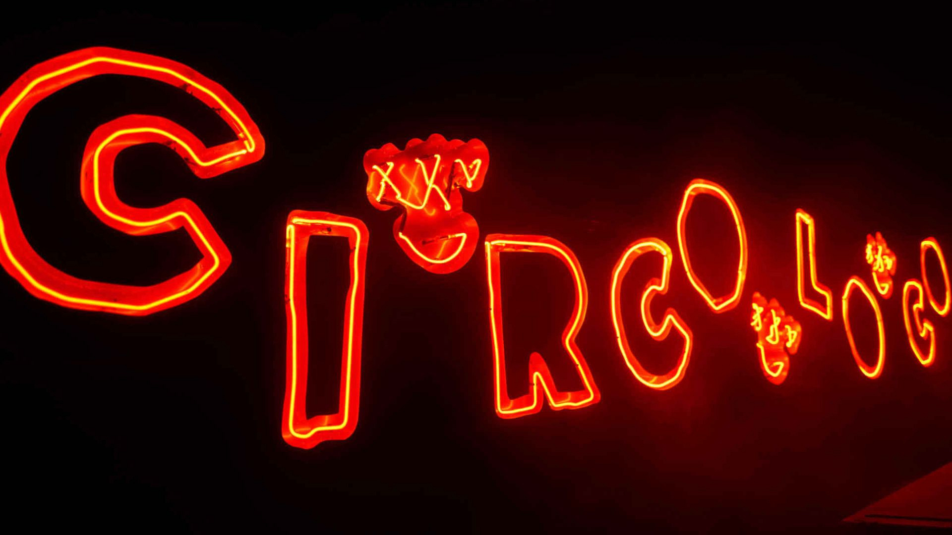 O tym wydarzeniu długo będzie głośno. Circoloco Warsaw na dziedzińcu Muzeum Pałacu Króla Jana III w Wilanowie