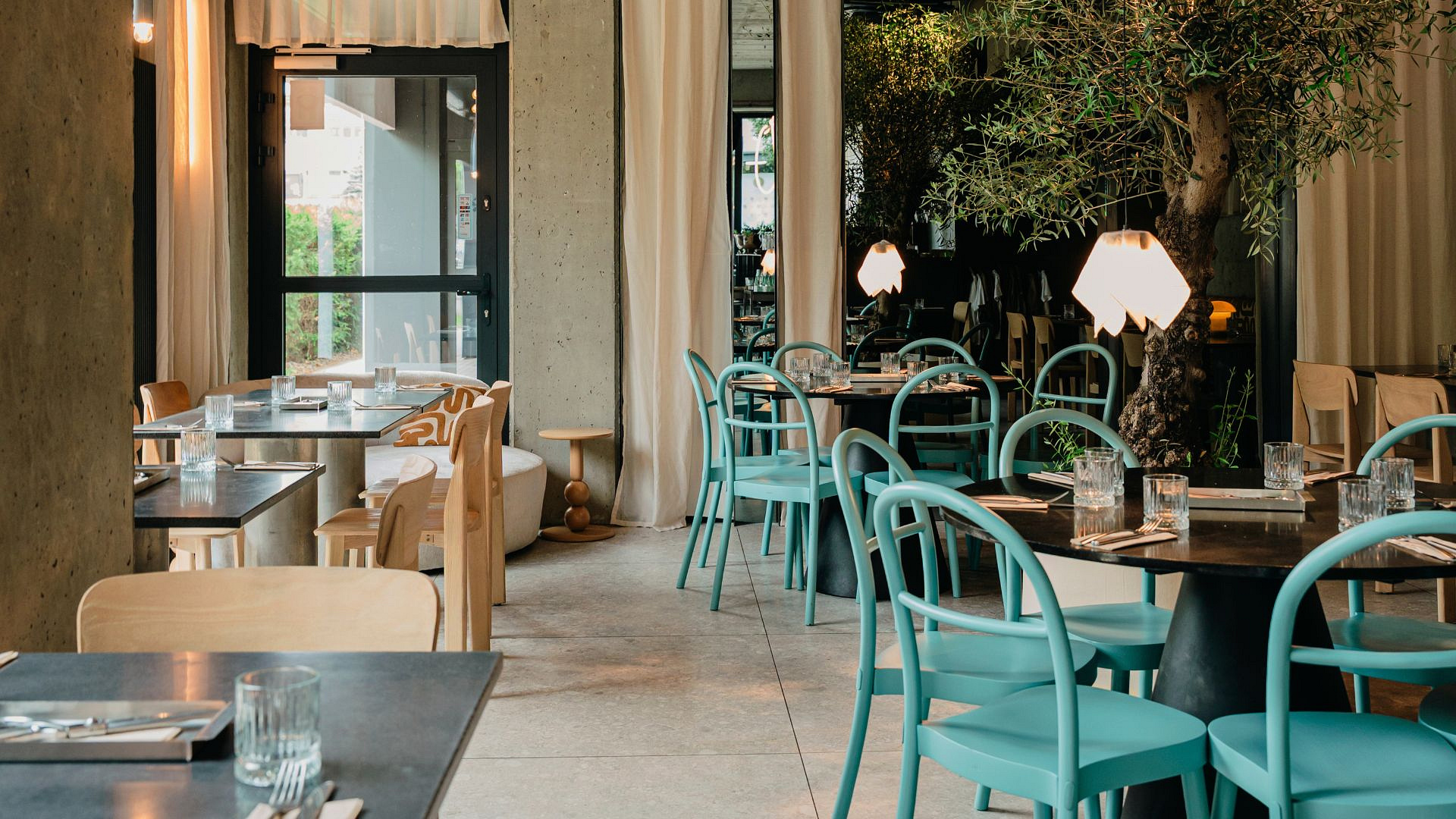 Projekt włoskiej restauracji w Poznaniu. We wnętrzu wzrok przykuwa rozłożyste drzewo oliwne