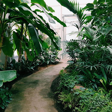 5 najpiękniejszych polskich ogrodów botanicznych. Tu odpoczniesz od miejskiego zgiełku 