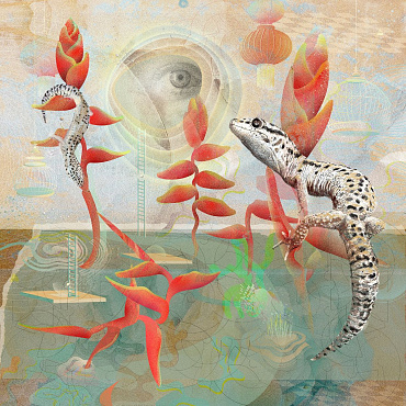 8 powodów, by wybrać się na Artshow w ten weekend