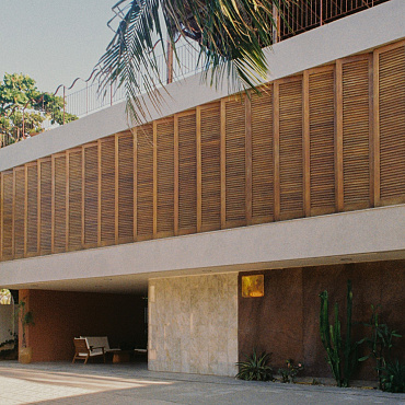 Eukaliptus i rybie łuski: polska architektka w Brazylii