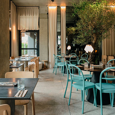 Projekt włoskiej restauracji w Poznaniu. We wnętrzu wzrok przykuwa rozłożyste drzewo oliwne