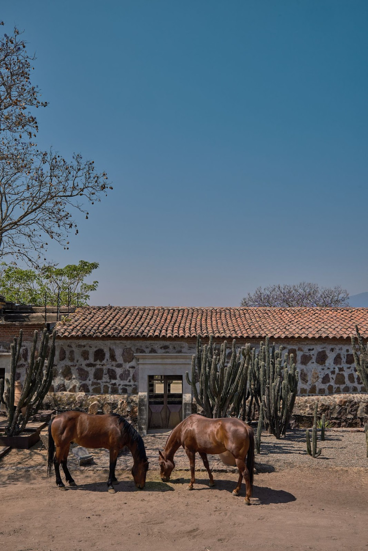 Ex-Hacienda Guadalupe