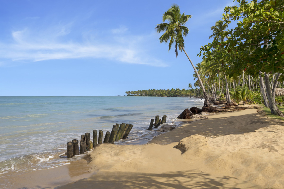 the hedonist collection Dominikana villas las terrenas