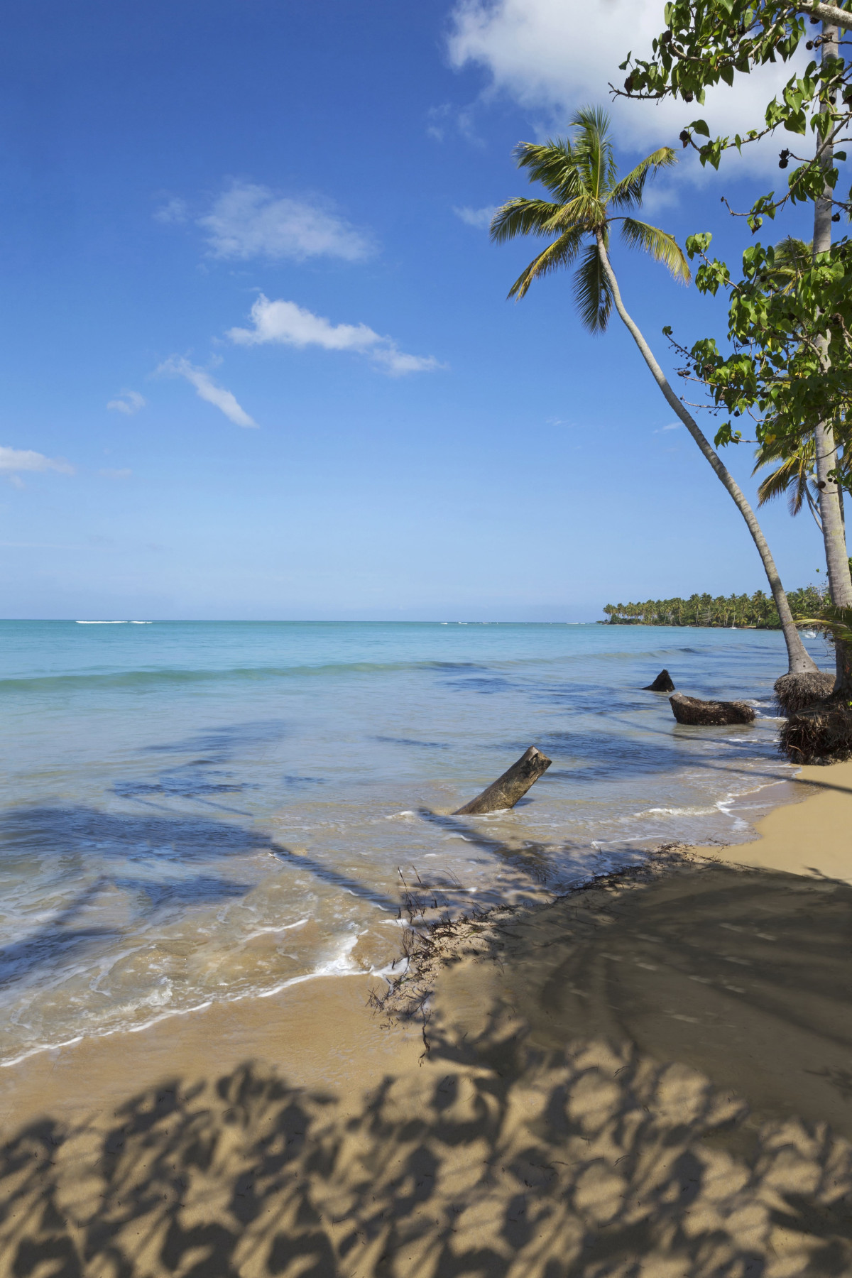 the hedonist collection Dominikana villas las terrenas