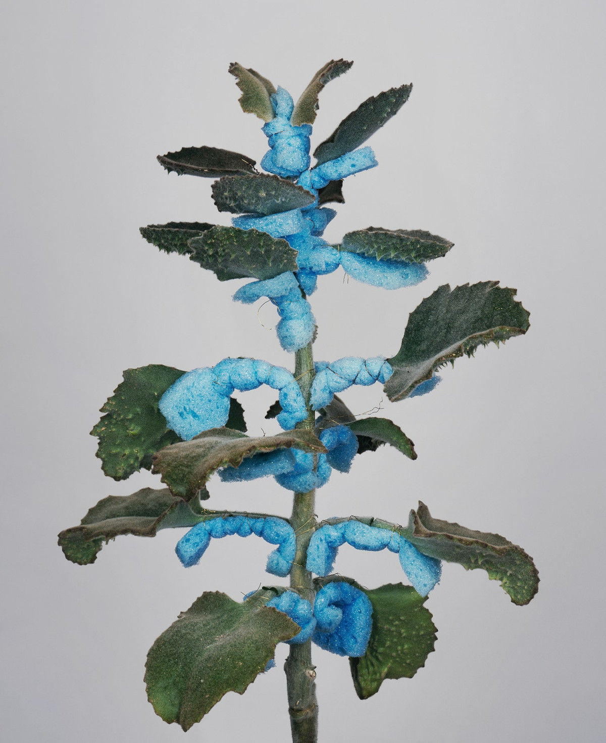 Paweł Bownik sztuka