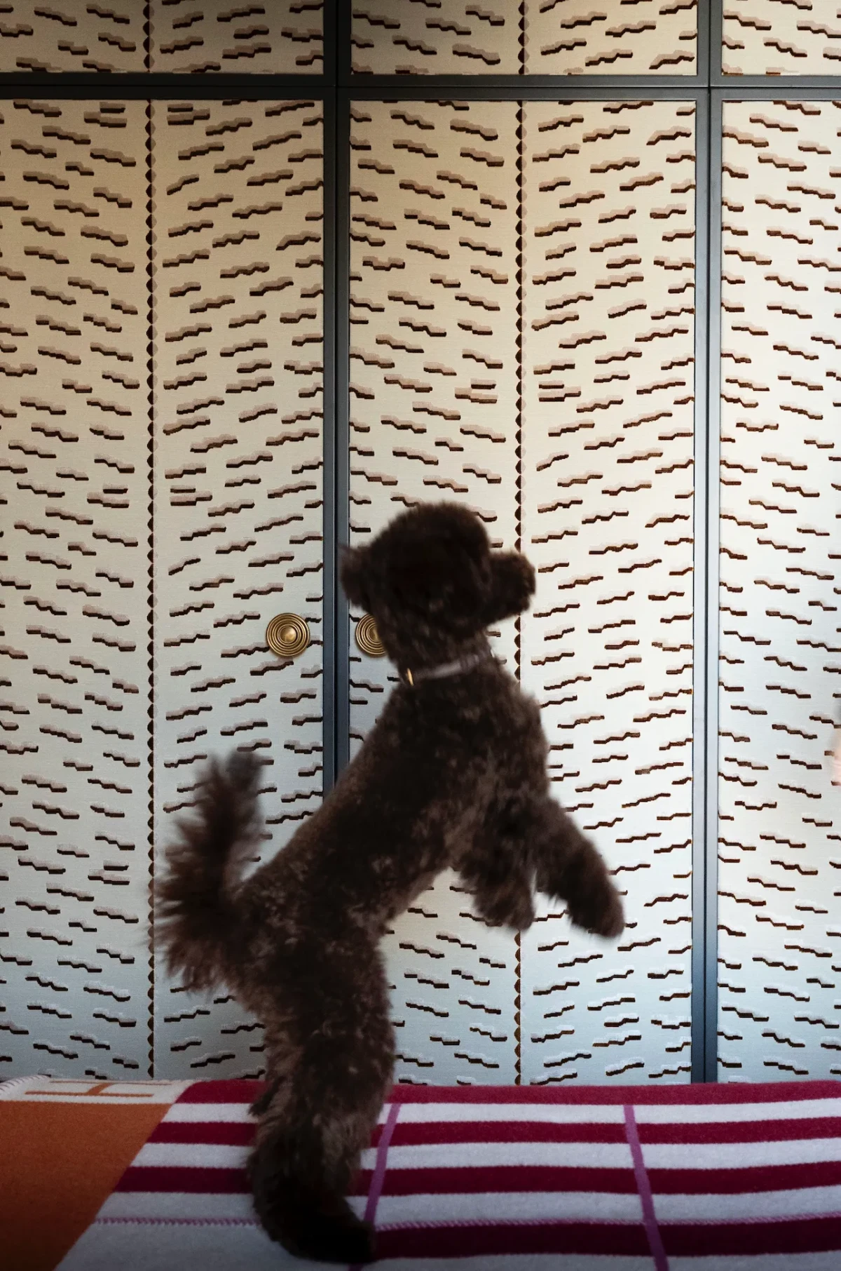 Stylowy apartament w Mediolanie Derudi