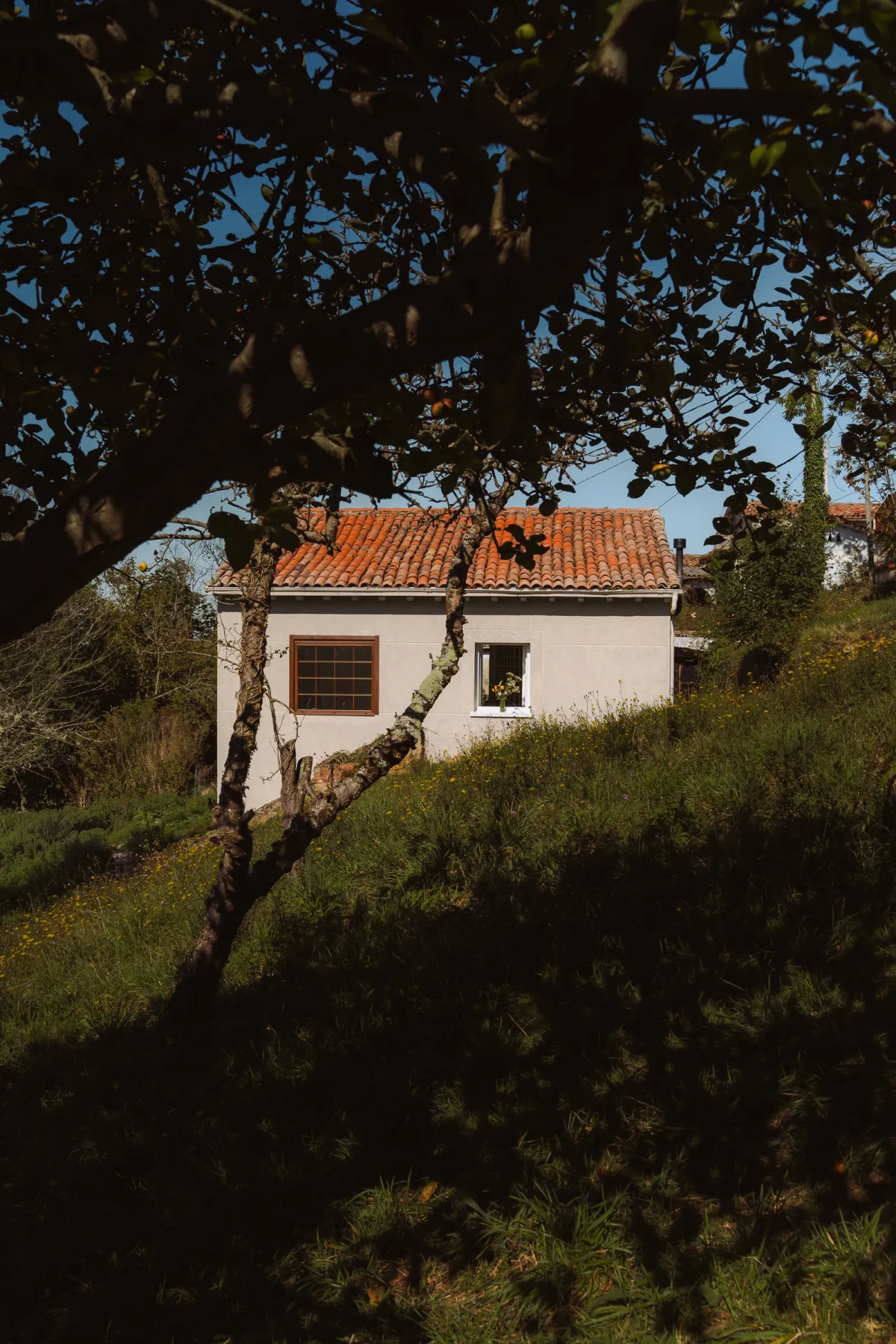 Nowoczesny dom na wsi w Hiszpanii