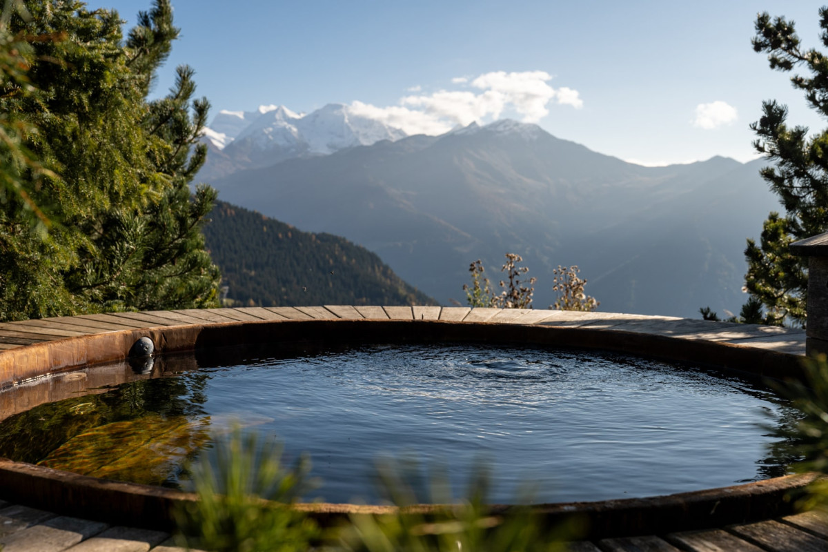 the hedonist collection verbier
